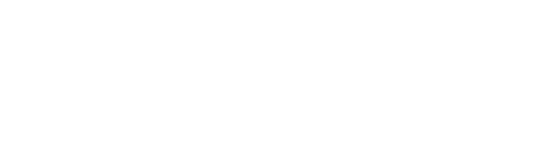 Bergs Säkerhetsrådgivning AB logo